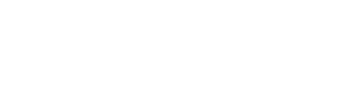 HSDS - Logo and wordtype (white)