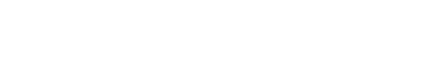 HSDS - Logo and wordtype (white)